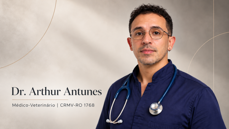 Torção gástrica em cães: Dr. Arthur Antunes explica riscos